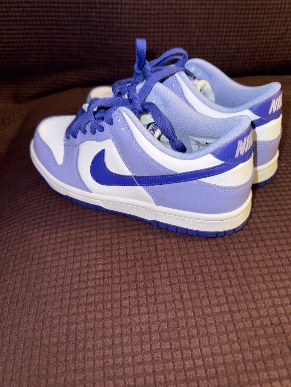 Nike Dunks Low Sneakers
